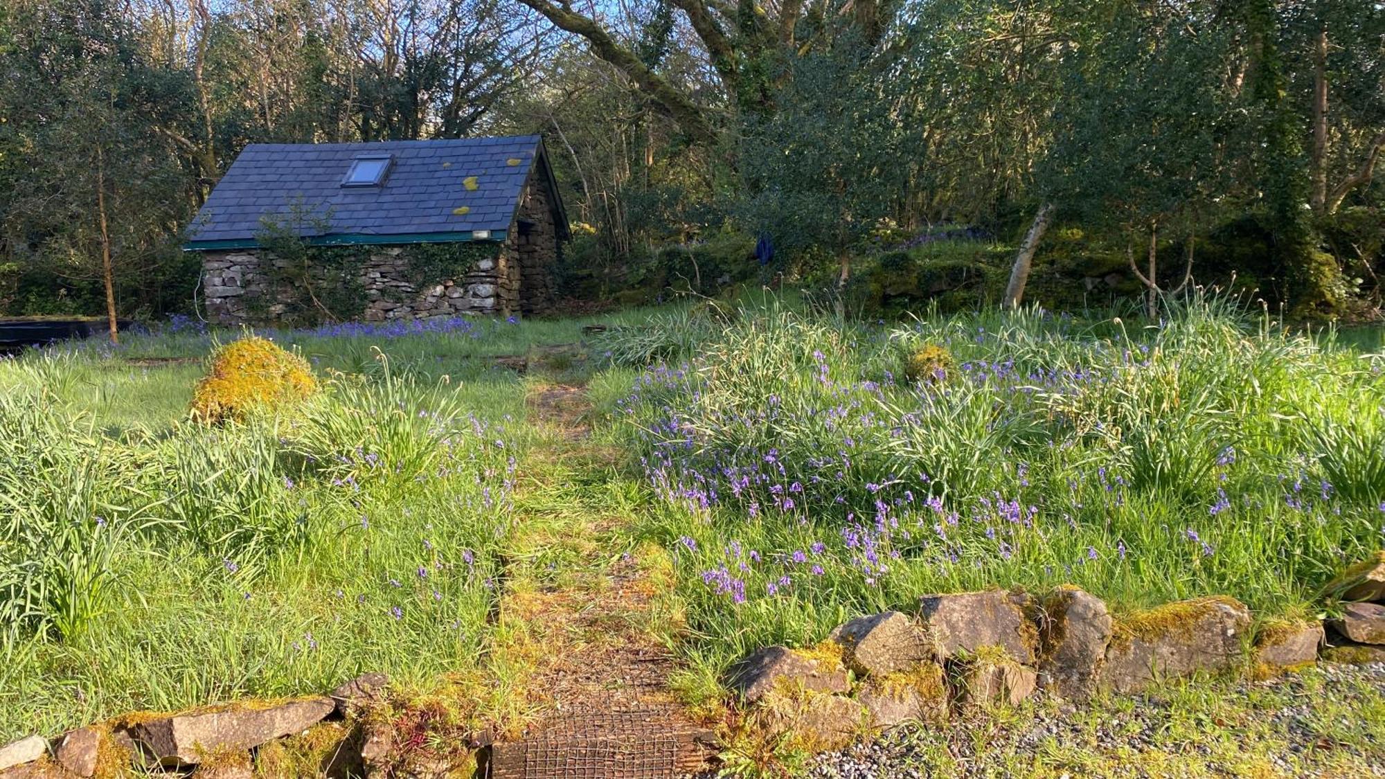 Sligo Forest Retreat Villa Exterior photo